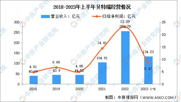2024年中国锂电池负极材料行业市场前景预测报告(图8)
