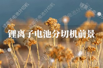 2024年锂离子电池分切机发展前景锂离子电池分切机市场前景预测(图1)