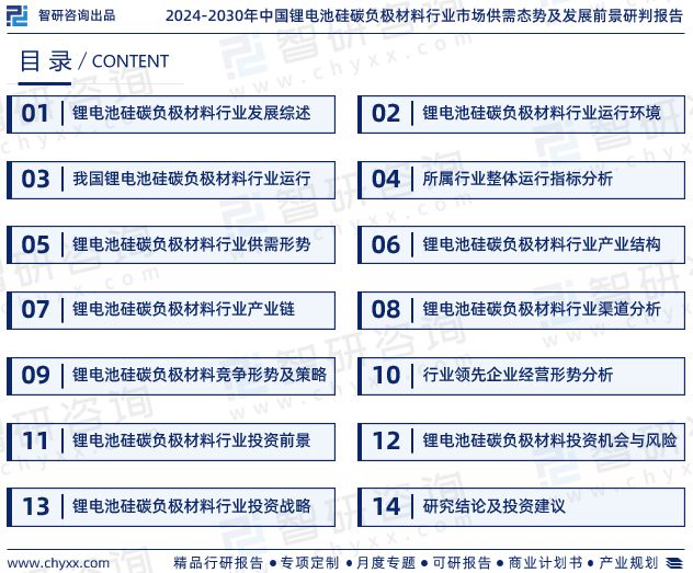中国锂电池硅碳负极材料行业市场运行动态及投资潜力分析报告(图2)