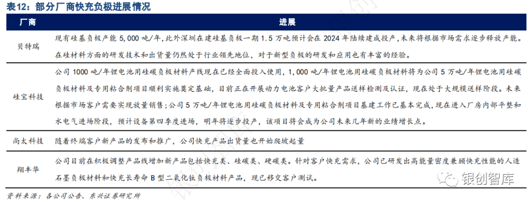 2024中国储能展【锂电池】年度总结及未来3大趋势！(图13)