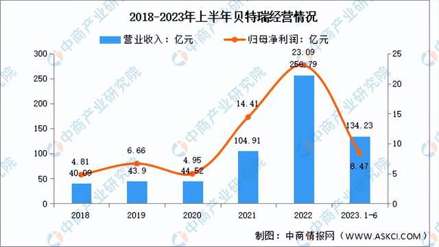 2024年中国锂电池负极材料行业市场前景预测研究报告（简版）(图8)