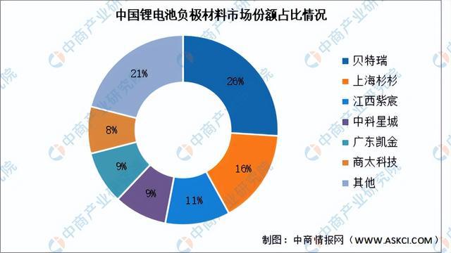 2024年中国锂电池负极材料行业市场前景预测研究报告（简版）(图6)
