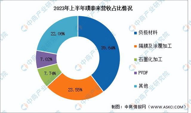 2024年中国锂电池负极材料行业市场前景预测研究报告（简版）(图13)