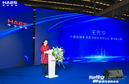 聚焦能源变革2024恒安储能创新峰会成功举办(图2)