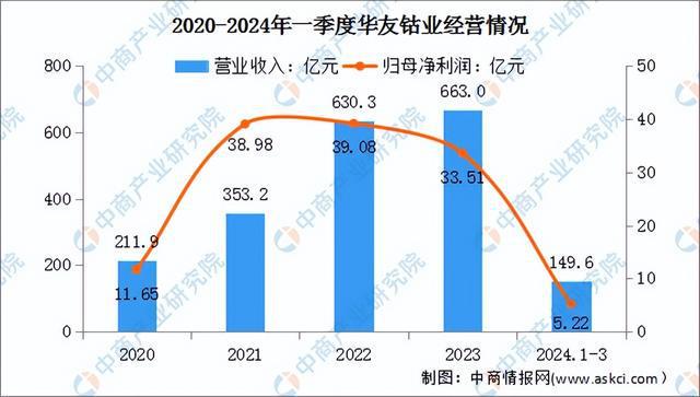 2024年中国锂电材料行业市场前景预测研究报告（简版）(图12)