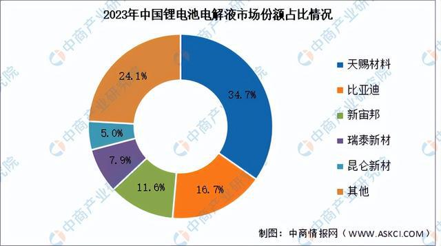 2024年中国锂电材料行业市场前景预测研究报告（简版）(图10)