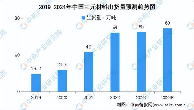 2024年中国锂电材料行业市场前景预测研究报告（简版）(图6)