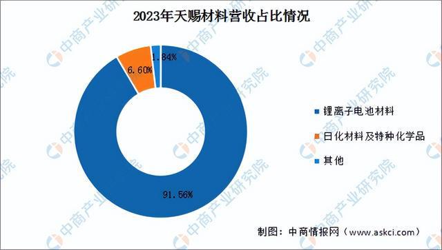 2024年中国锂电材料行业市场前景预测研究报告（简版）(图19)