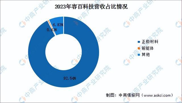 2024年中国锂电材料行业市场前景预测研究报告（简版）(图16)