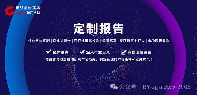 2024-2030全球及中国电动工具用锂离子电池行业研究及十五五规划分析报告(图1)