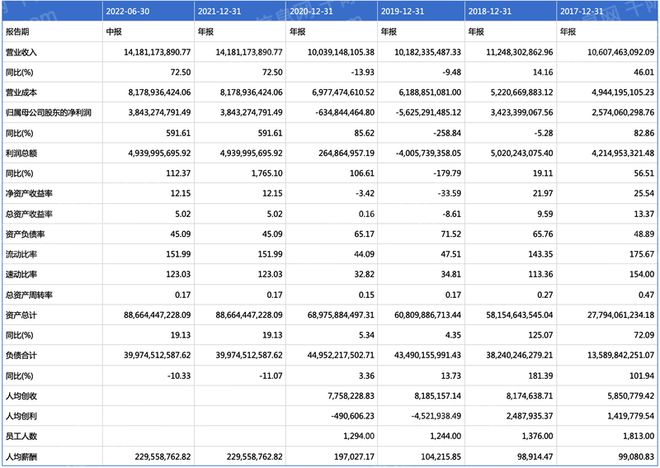 2024年中国锂行业研究报告(图9)