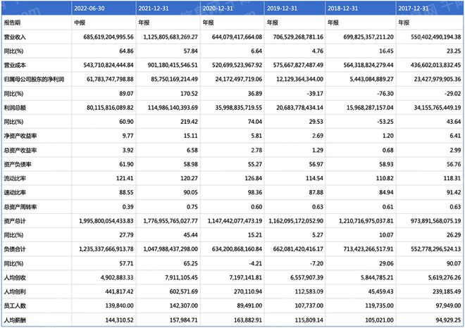 2024年中国锂行业研究报告(图10)
