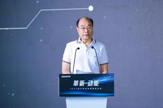 院士称：安全是磷酸铁锂电池的核心标签(图1)