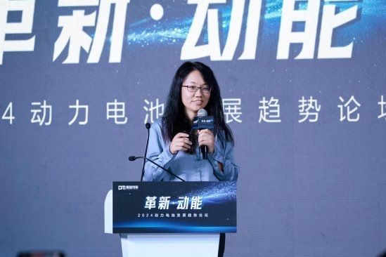 院士称：安全是磷酸铁锂电池的核心标签(图4)