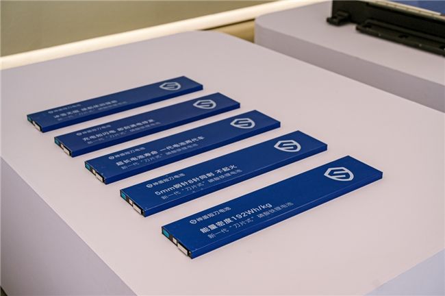 院士称：安全是磷酸铁锂电池的核心标签(图8)