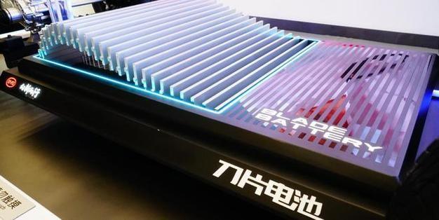 15万元起？特斯拉新车曝光配比亚迪刀片电池续航400km(图4)