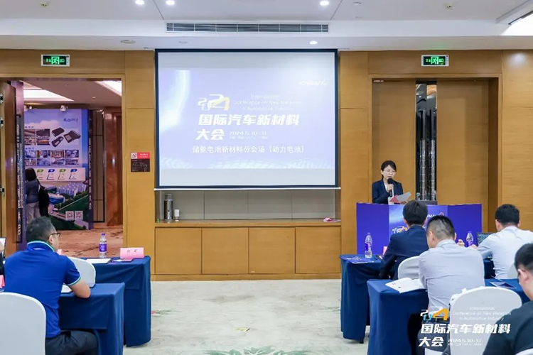 2024国际汽车新材料大会储能电池(动力电池)新材料分会举行(图2)