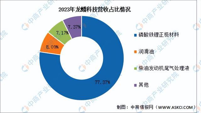 2024年中国锂电池正极材料行业市场前景预测研究报告（简版）(图14)