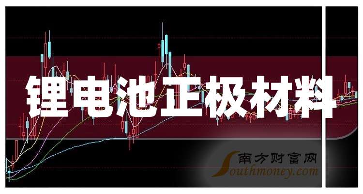 2024年哪些是锂电池正极材料龙头你知道多少？（20241）(图1)