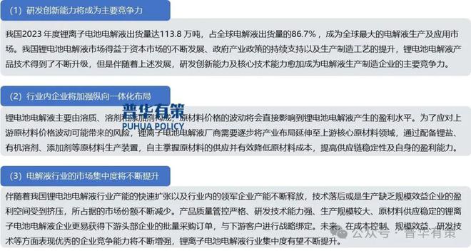 2025-2031年锂电池电解液行业细分市场投资新机遇及发展前景预测报告(图5)