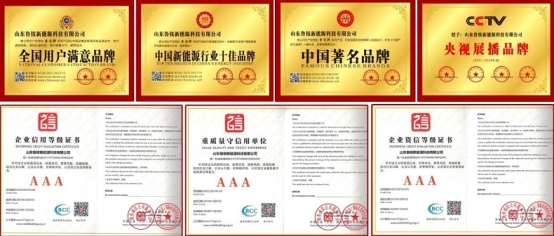 市场地位证明：鲁安锂电三轮车专用锂电池获山东省销量第一证明(图3)