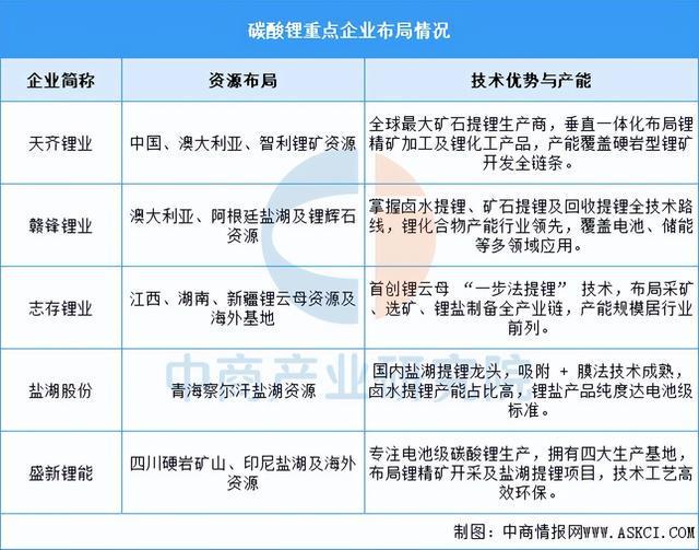 2025年中国锂电材料产业链梳理及投资布局分析(图4)