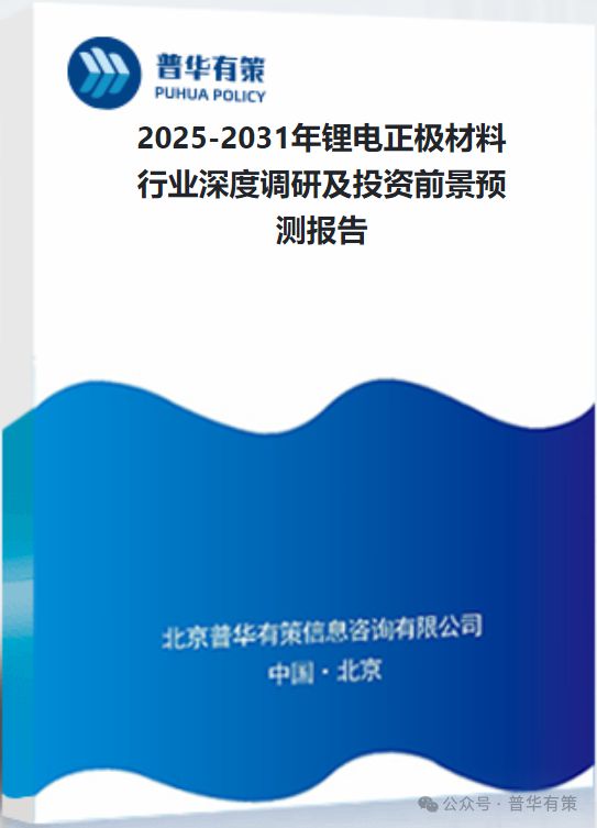 2025-2031年锂电正极材料行业深度调研及投资前景预测报告(图3)