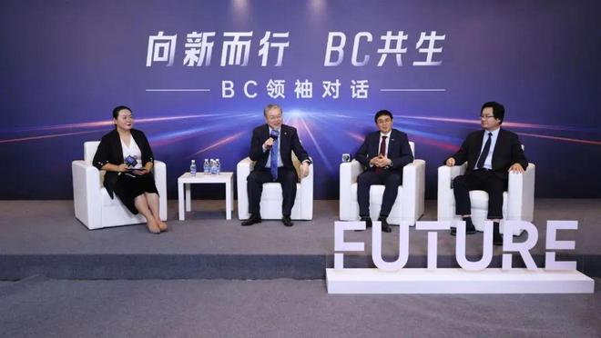 光伏新王争霸战：BC深陷三国杀！(图7)