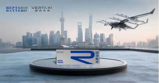 2025全球锂电产业新图景：瑞浦兰钧“问顶”突围！(图6)