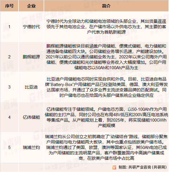 2023年中国户用储能电池市场竞争格局及行业出货量统计(图3)