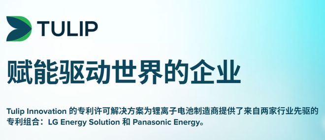 中国电池卖到欧洲结果被日韩企业盯上了？(图3)