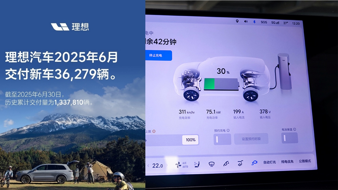 上半年车市变了啥？增程增速下降难做车企销量救星(图12)