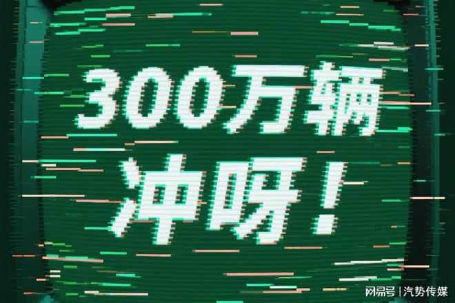 冲击300万辆还有谁(图4)