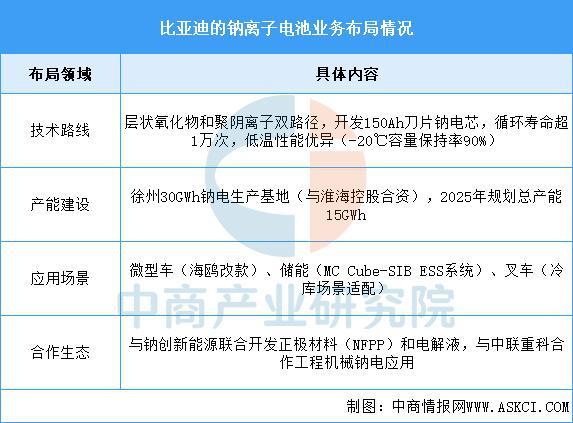 2025年中国钠离子电池行业市场前景预测研究报告(图11)