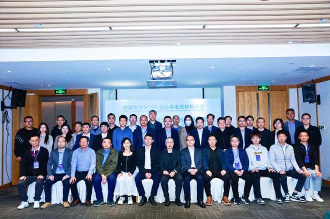 年产40万吨锂离子电池材料建设项目终止(图2)