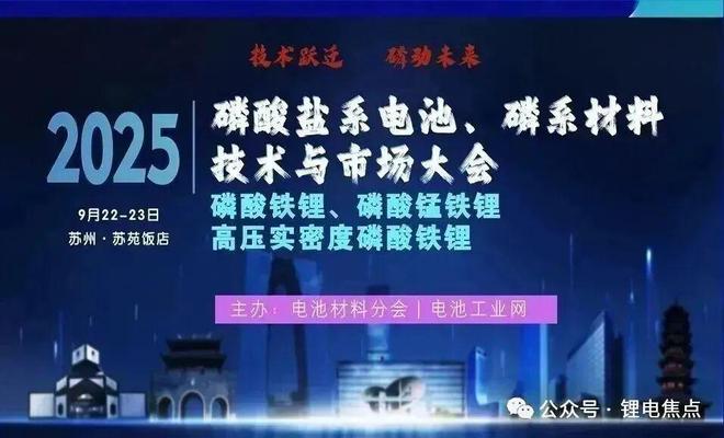 年产20万吨高压实磷酸铁锂一体化项目通过竣工验收!(图1)