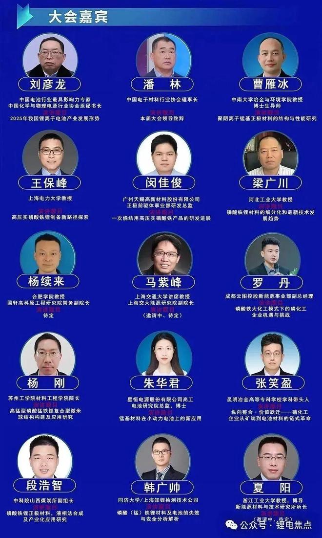 年产20万吨高压实磷酸铁锂一体化项目通过竣工验收!(图2)