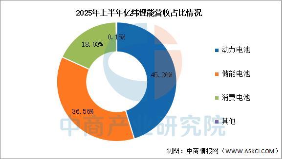 2025年中国电化学储能行业市场前景预测研究报告(图13)