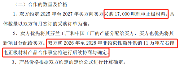 又一超百亿锂电国际大订单落地(图1)
