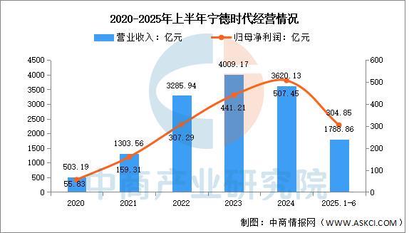 2025年中国储能电芯行业市场前景预测研究报告(图8)