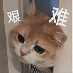 全固态电池要量产了？(图2)