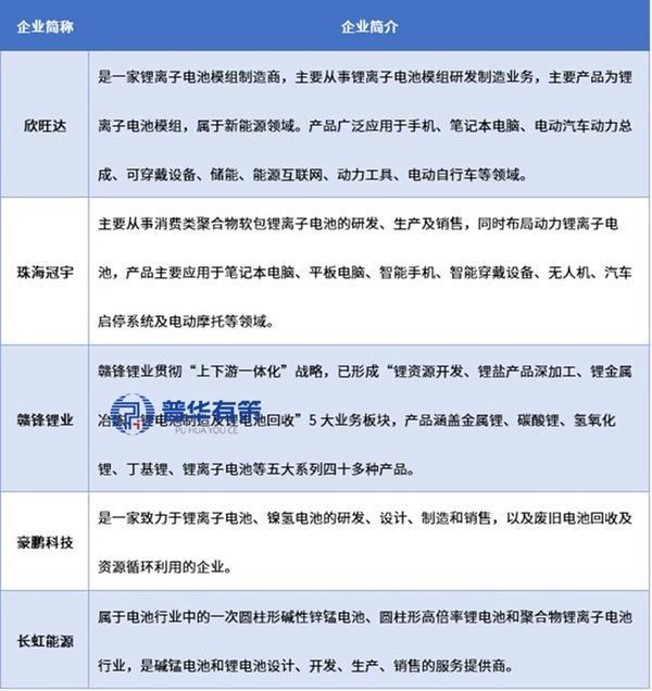 消费类锂离子电池行业特征、市场表现及竞争格局深度解读(图3)