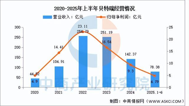 2025年中国负极材料行业市场前景预测研究报告（简版）(图8)