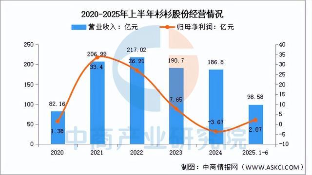2025年中国负极材料行业市场前景预测研究报告（简版）(图10)
