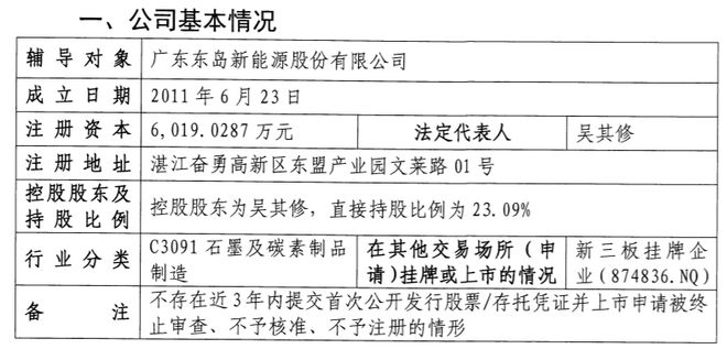 广东东岛拟IPO：2024年实现扭亏天然石墨负极材料出货量第二(图1)